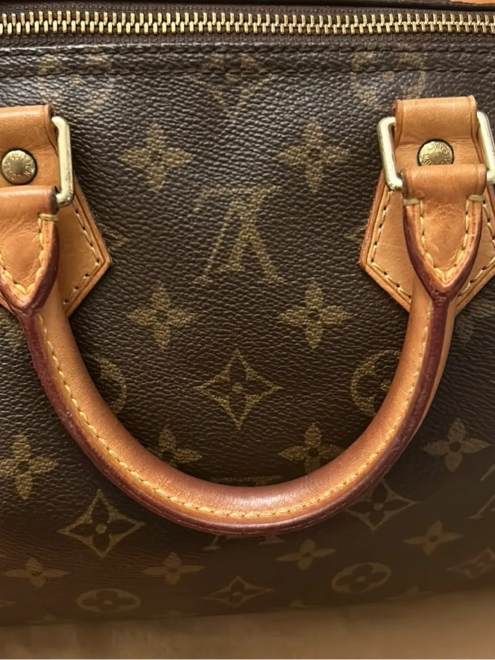 Louis Vuitton Speedy 25 monogram